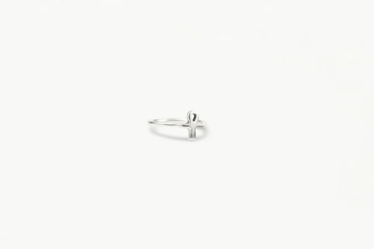 The Ankh-adelic Ring